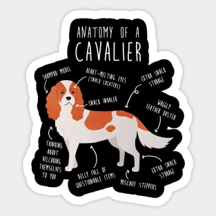 Blenheim Cavalier King Charles Spaniel Dog Anatomy Sticker